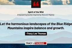 Tracy-Lee-Thomas-2025-Quotes-1