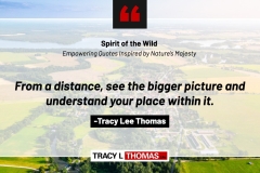 Tracy-Lee-Thomas-2025-Quotes-10
