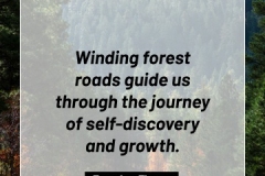 2505595_TracyLeeThomas2025Quotes_ForestRoads_121624