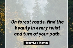 2505595_TracyLeeThomas2025Quotes_ForestRoads_121624