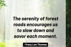 2505595_TracyLeeThomas2025Quotes_ForestRoads_121624