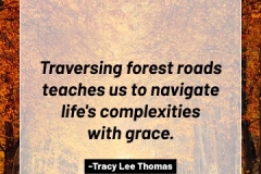 2505595_TracyLeeThomas2025Quotes_ForestRoads_121624