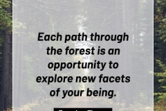2505595_TracyLeeThomas2025Quotes_ForestRoads_121624