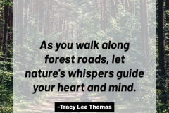 2505595_TracyLeeThomas2025Quotes_ForestRoads_121624