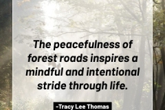 2505595_TracyLeeThomas2025Quotes_ForestRoads_121624