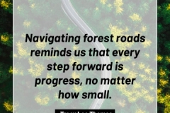 2505595_TracyLeeThomas2025Quotes_ForestRoads_121624