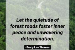 2505595_TracyLeeThomas2025Quotes_ForestRoads_121624