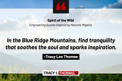 Tracy-Lee-Thomas-2025-Quotes-122
