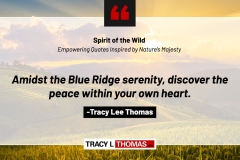 Tracy-Lee-Thomas-2025-Quotes-124