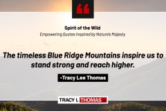 Tracy-Lee-Thomas-2025-Quotes-125