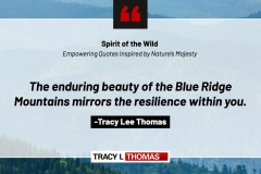 Tracy-Lee-Thomas-2025-Quotes-129