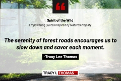 Tracy-Lee-Thomas-2025-Quotes-15