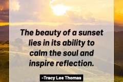 2505595_TracyLeeThomas2025sunset