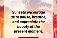 2505595_TracyLeeThomas2025Sunset