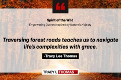 Tracy-Lee-Thomas-2025-Quotes-16