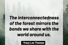 2505595_TracyLeeThomas2025theForest