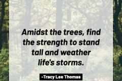 2505595_TracyLeeThomas2025TheForest