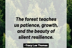 2505595_TracyLeeThomas2025TheForest