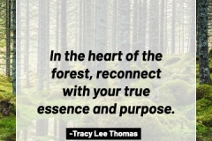 2505595_TracyLeeThomas2025theForest