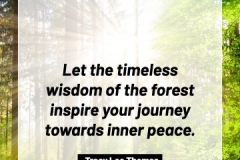 2505595_TracyLeeThomas2025TheForest