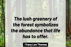 2505595_TracyLeeThomas2025TheForest