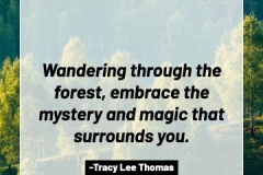 2505595_TracyLeeThomas2025TheForest