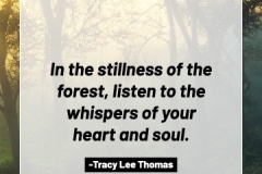 2505595_TracyLeeThomas2025TheForest