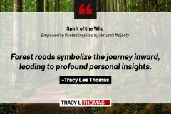 Tracy-Lee-Thomas-2025-Quotes-18