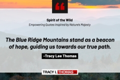 Tracy-Lee-Thomas-2025-Quotes-2