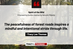 Tracy-Lee-Thomas-2025-Quotes-20