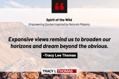 Tracy-Lee-Thomas-2025-Quotes-3