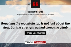 Tracy-Lee-Thomas-2025-Quotes-33