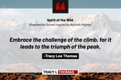 Tracy-Lee-Thomas-2025-Quotes-39