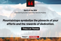 Tracy-Lee-Thomas-2025-Quotes-41
