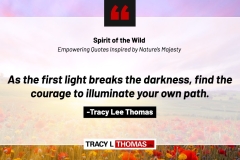 Tracy-Lee-Thomas-2025-Quotes-45