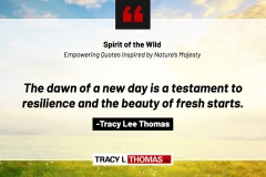 Tracy-Lee-Thomas-2025-Quotes-47