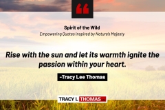 Tracy-Lee-Thomas-2025-Quotes-48