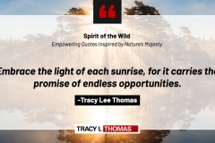 Tracy-Lee-Thomas-2025-Quotes-51