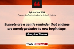 Tracy-Lee-Thomas-2025-Quotes-53