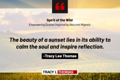 Tracy-Lee-Thomas-2025-Quotes-55