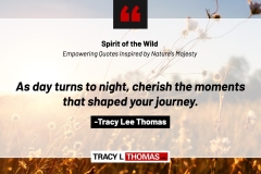 Tracy-Lee-Thomas-2025-Quotes-60