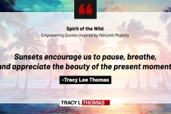 Tracy-Lee-Thomas-2025-Quotes-61
