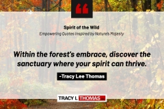 Tracy-Lee-Thomas-2025-Quotes-63