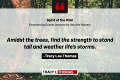 Tracy-Lee-Thomas-2025-Quotes-65