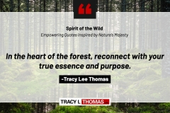 Tracy-Lee-Thomas-2025-Quotes-67