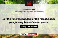 Tracy-Lee-Thomas-2025-Quotes-68