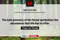 Tracy-Lee-Thomas-2025-Quotes-69