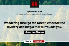 Tracy-Lee-Thomas-2025-Quotes-70