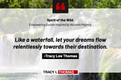 Tracy-Lee-Thomas-2025-Quotes-73