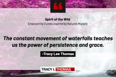 Tracy-Lee-Thomas-2025-Quotes-74